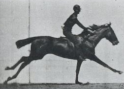 inscription 8bfd9dc813dfd41d8e2ff36e47b3feaf74d87d660e4fa32fa996ba4795bdf9eai0